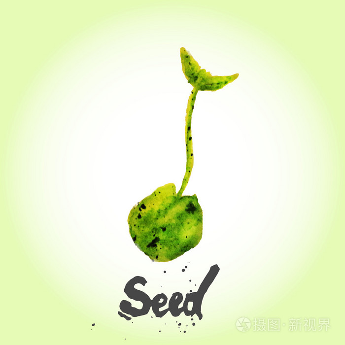 水彩矢量绿色自然的种子eps10
