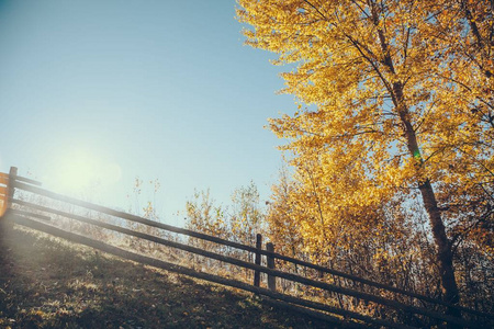 在阳光明媚的前面, 喀尔巴泰人, 乌克兰, 山上的木栅栏的风景与黄色的树