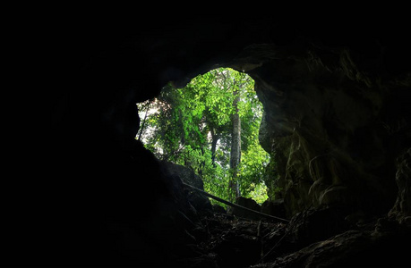 来自洞穴的热带森林景观 泰国南脑国家公园
