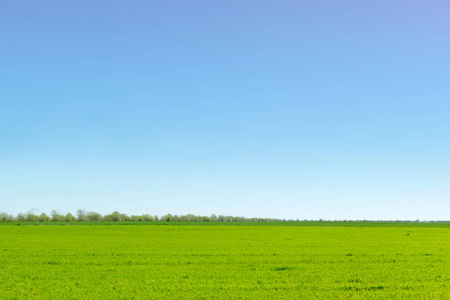 劈叉蓝天白天图片