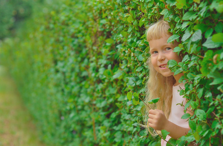 隐藏在绿树丛中的女孩