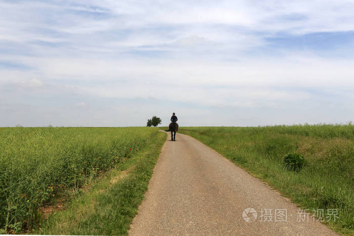 一个骑手骑着马沿着一条乡间小路行驶