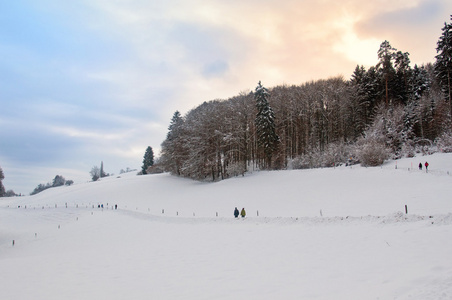 美丽的冬天景观与雪覆盖