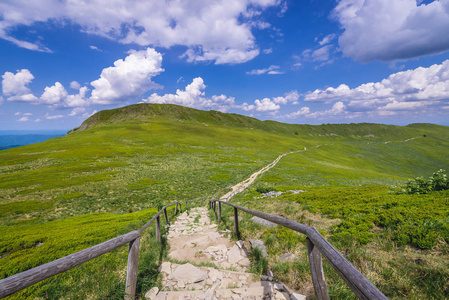 在 Osadzki Wierch 山附近的 Wetlina 徒步小径上的楼梯, Bieszczady 国家公园, 波兰 Subc