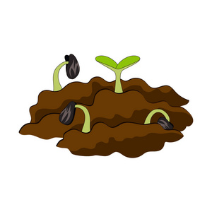 在过程中种植植物, 在平面设计中种植过程的概念, 植物幼苗在土壤中