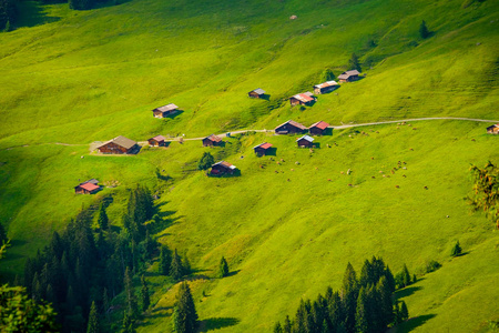 瑞士乡村乡村的夏天风景