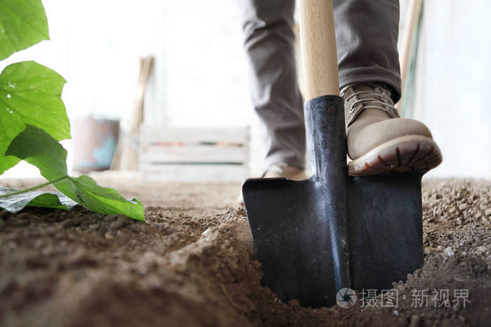 在菜园工作, 脚铁锹的土壤, 关闭