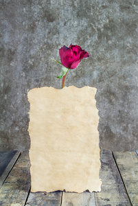 新鲜红玫瑰和旧纸上木制背景