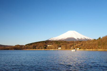 春天，樱花盛开樱花富士山