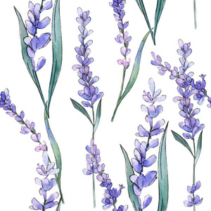 紫色薰衣草。花植物学花。水彩背景插图集。无缝的背景模式