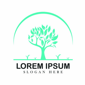 树橡树绿色自然设计标识矢量概念 embem isplated 插图背景白色