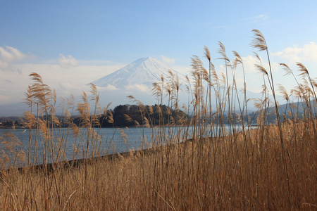 从 3 月河口湖富士山的视图