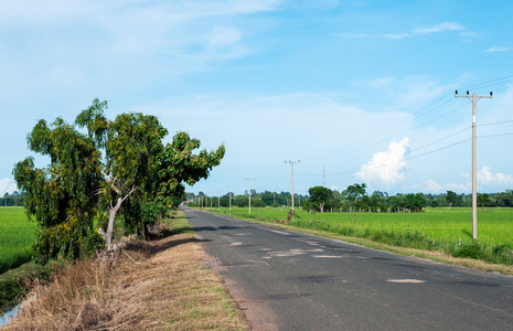 沥青混凝土路面