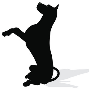 股票载体的白色背景上的狗剪影照片