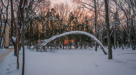 在日落时, 俄罗斯莫斯科, 阿尔汉格尔斯科耶, 冬季的风景与大量的雪