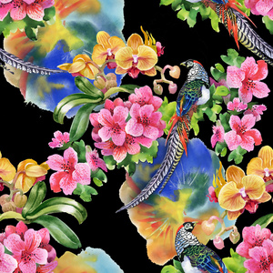 热带鸟与花