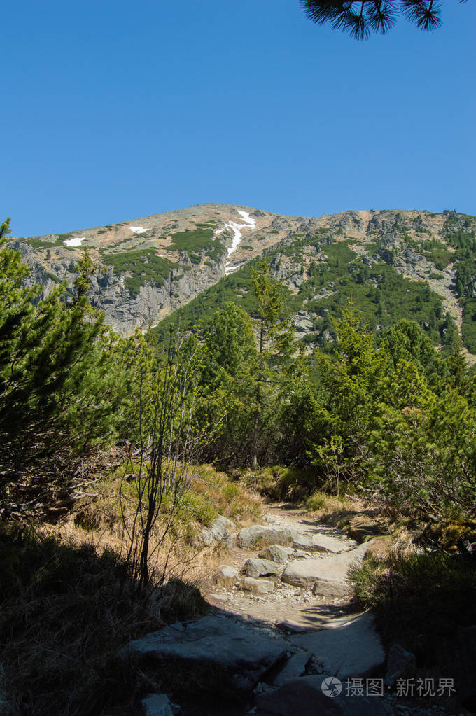 风景秀丽的绿意盎然, 蓝天照片-正版商用图片09s3fi-摄图新视界