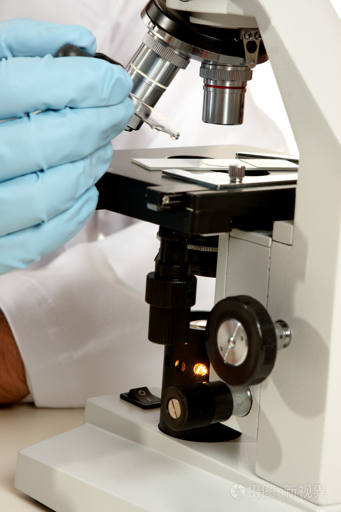 在显微镜下观察