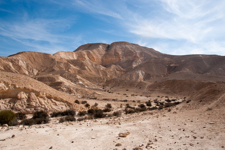 在以色列内盖夫沙漠旅行