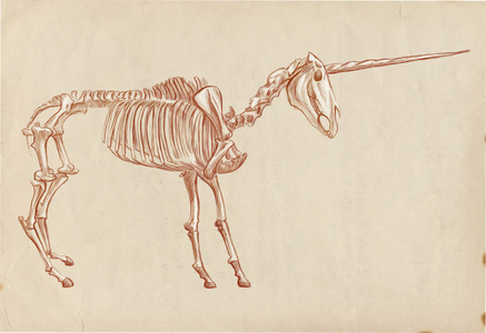 独角兽骨架图片