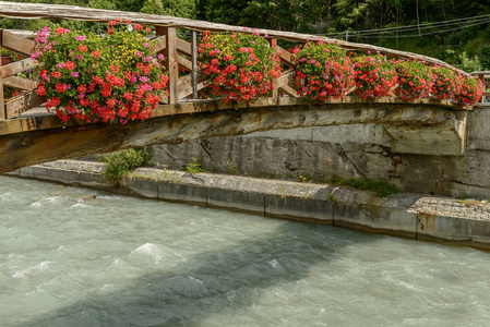 关于在赖氨酸河上盖满盛开的天竺葵花的木桥的看法, 在明亮的夏日, 在 Gressoney 圣珍, 赖氨酸山谷, 奥斯塔, 医院拍