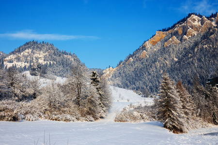 在 Pieniny 山，三个皇冠，波兰冬季景观