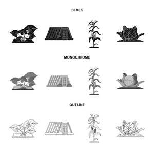 温室和植物符号的矢量设计。温室和花园股票矢量图集
