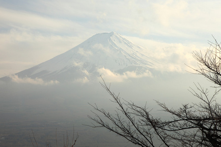 从河口湖富士山的视图