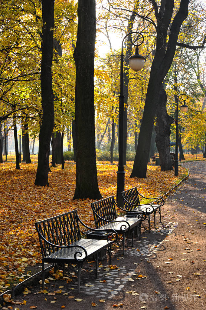 秋天公园与落叶和长凳