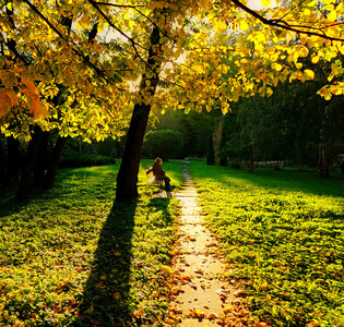 一个老妇人坐在一棵树下, 在阳光明媚的秋天午后。一条明亮开明的小巷, 青草覆盖着黄叶