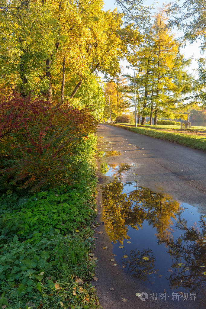 在秋季公园的风景在一个晴朗的早晨