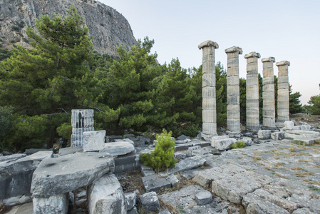 priene 的列