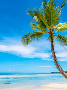 美丽的热带海滩和海与椰子棕榈树为旅行和假期