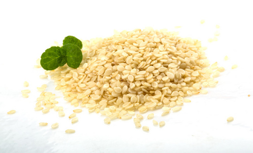 白芝麻种子图片