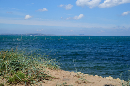 海景