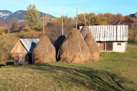 皮亚特拉服务国家公园的老农场在罗马尼亚的喀尔巴阡山脉