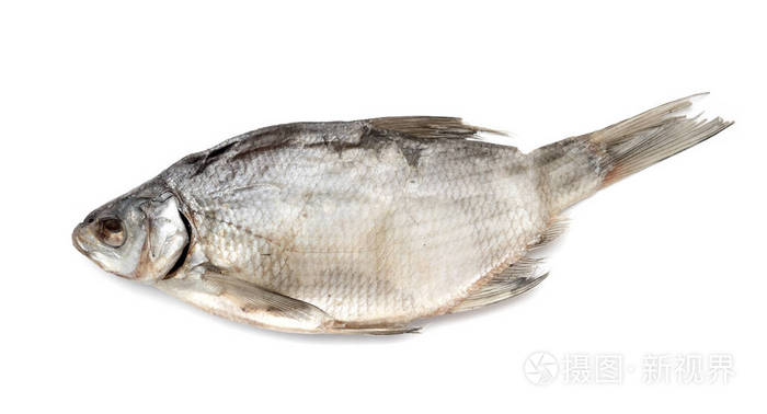 咸鱼在白色背景上照片-正版商用图片09t7pz-摄图新视界