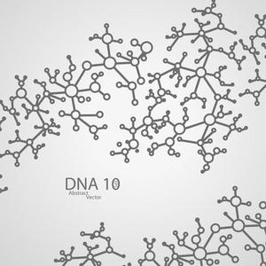 未来的DNA每股收益10