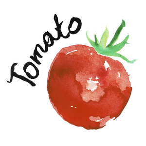 有机业务番茄水彩艺术插画设计有机食品,贴标设计,餐饮业务照片