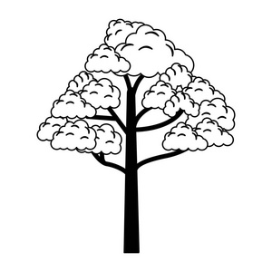黑白树的自然符号