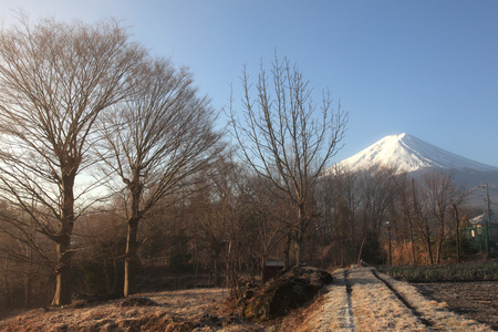 从河口湖在 3 月的富士山视图