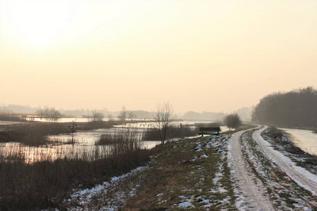 在荷兰的loosdrecht冬季散步