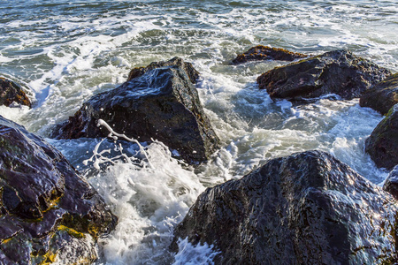 风景如画的大自然湖石海岸