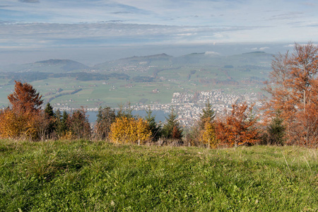 风景与绿色草甸在卢塞恩湖之上, 附近山 Rigi, 阿尔卑斯, 瑞士