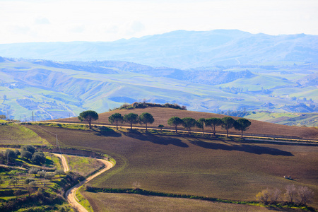 leonforte 农村