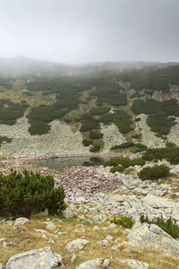 惊人的景观与雾在 musalenski 湖, 里拉山, 保加利亚