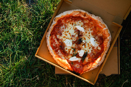 意大利比萨饼番茄酱和新鲜的布拉塔在打开的纸板箱在草地上, 食品交付概念