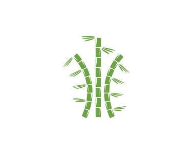 绿色叶子的竹子为您的标志图标矢量 templat
