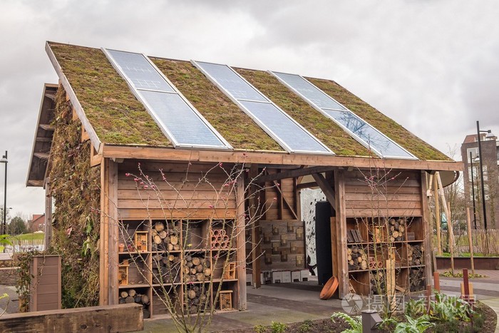 蜜蜂在公共公园的房子