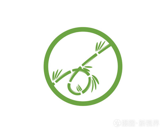 绿色叶子的竹子为您的标志图标矢量templat